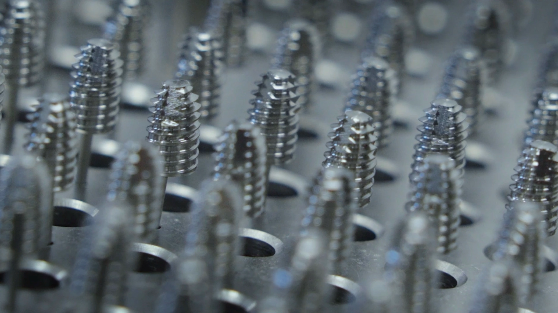 Лабораторная зона 8dent